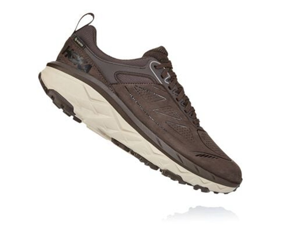 Tenis Hoka One One Trail Hombre Marrom - Challenger Bajos Gore-Tex - WTJI32958